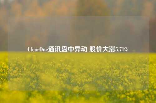 ClearOne通讯盘中异动 股价大涨5.71%