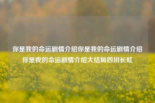 你是我的命运剧情介绍你是我的命运剧情介绍你是我的命运剧情介绍大结局四川长虹