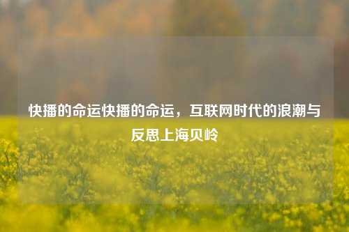 快播的命运快播的命运，互联网时代的浪潮与反思上海贝岭