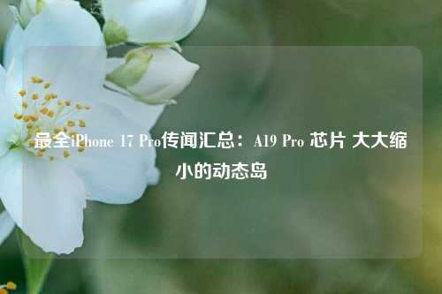 最全iPhone 17 Pro传闻汇总：A19 Pro 芯片 大大缩小的动态岛