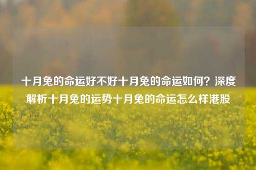 十月兔的命运好不好十月兔的命运如何？深度解析十月兔的运势十月兔的命运怎么样港股