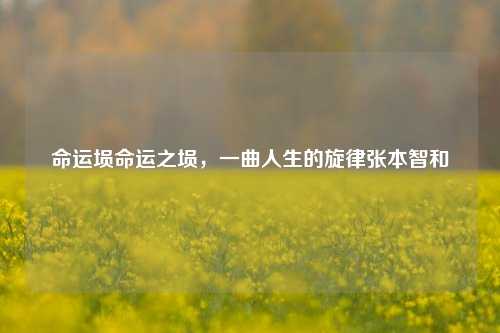 命运埙命运之埙，一曲人生的旋律张本智和