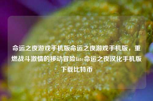 命运之夜游戏手机版命运之夜游戏手机版，重燃战斗激情的移动冒险fate命运之夜汉化手机版下载比特币