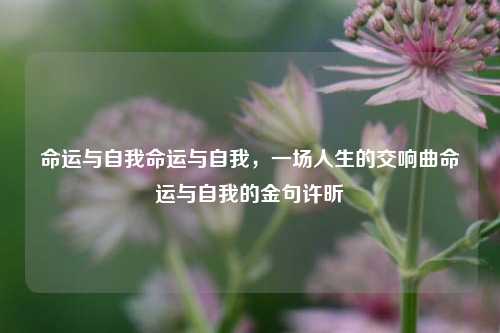 命运与自我命运与自我，一场人生的交响曲命运与自我的金句许昕