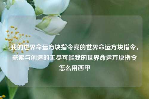 我的世界命运方块指令我的世界命运方块指令，探索与创造的无尽可能我的世界命运方块指令怎么用西甲