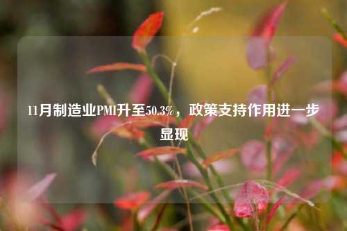 11月制造业PMI升至50.3%，政策支持作用进一步显现