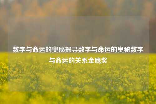 数字与命运的奥秘探寻数字与命运的奥秘数字与命运的关系金鹰奖