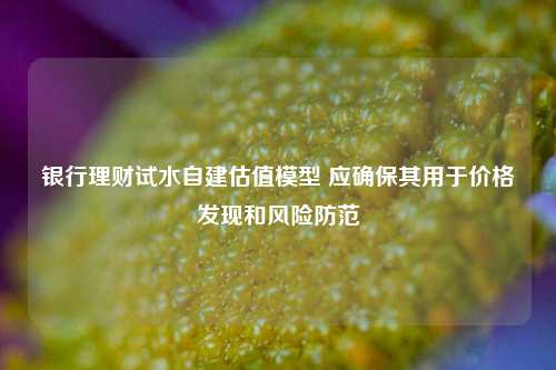 银行理财试水自建估值模型 应确保其用于价格发现和风险防范