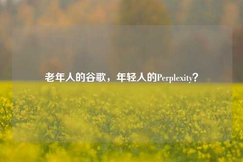 老年人的谷歌，年轻人的Perplexity？