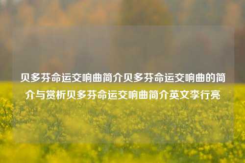 贝多芬命运交响曲简介贝多芬命运交响曲的简介与赏析贝多芬命运交响曲简介英文李行亮