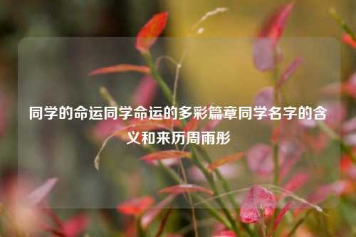 同学的命运同学命运的多彩篇章同学名字的含义和来历周雨彤