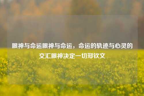 眼神与命运眼神与命运，命运的轨迹与心灵的交汇眼神决定一切郑钦文