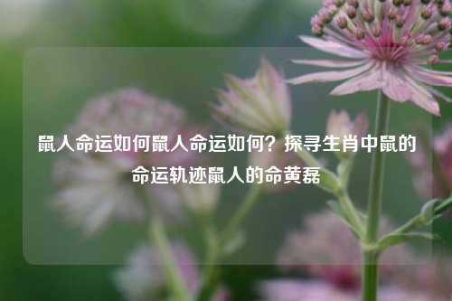 鼠人命运如何鼠人命运如何？探寻生肖中鼠的命运轨迹鼠人的命黄磊