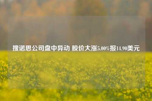 搜诺思公司盘中异动 股价大涨5.00%报14.90美元