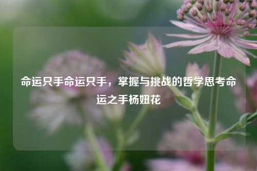 命运只手命运只手，掌握与挑战的哲学思考命运之手杨妞花