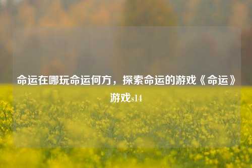 命运在哪玩命运何方，探索命运的游戏《命运》游戏s14