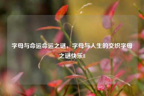 字母与命运命运之谜，字母与人生的交织字母之谜快乐8