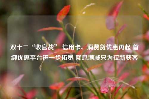 双十二“收官战” 信用卡、消费贷优惠再起 首绑优惠平台进一步拓宽 降息满减只为拉新获客