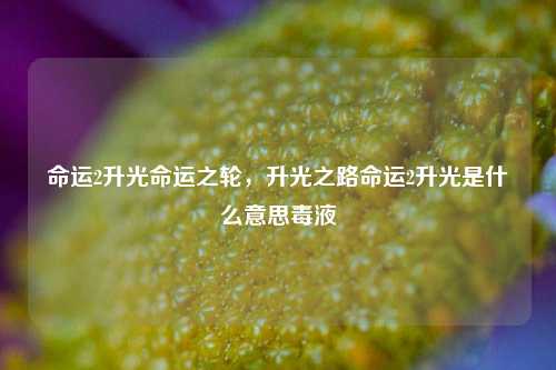 命运2升光命运之轮，升光之路命运2升光是什么意思毒液