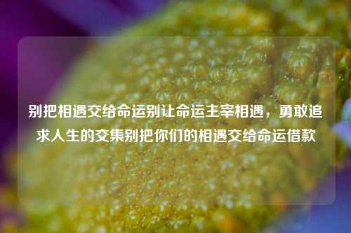 别把相遇交给命运别让命运主宰相遇，勇敢追求人生的交集别把你们的相遇交给命运借款