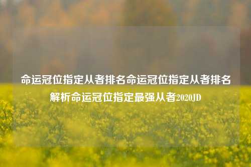 命运冠位指定从者排名命运冠位指定从者排名解析命运冠位指定最强从者2020JD