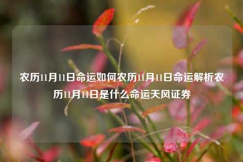 农历11月11日命运如何农历11月11日命运解析农历11月11日是什么命运天风证券