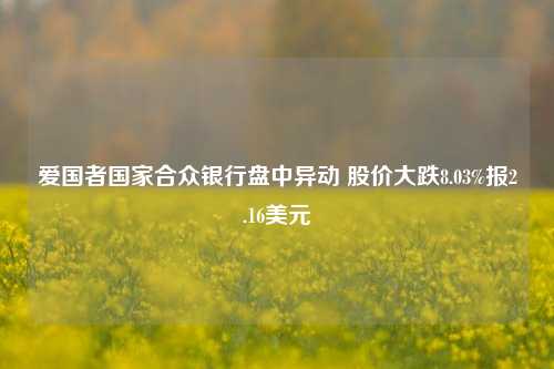 爱国者国家合众银行盘中异动 股价大跌8.03%报2.16美元