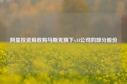 阿曼投资局收购马斯克旗下xAI公司的部分股份