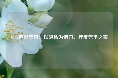 Meta回呛苹果：以隐私为借口，行反竞争之实