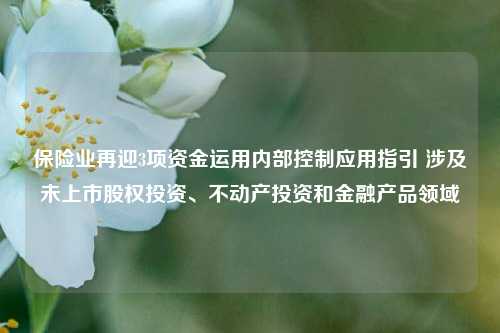 保险业再迎3项资金运用内部控制应用指引 涉及未上市股权投资、不动产投资和金融产品领域